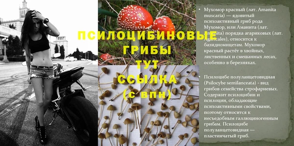 стафф Абдулино