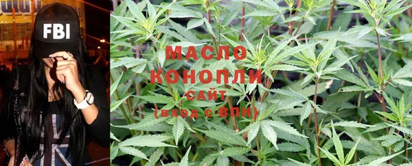 дмт Абаза