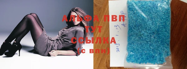 СК Абинск
