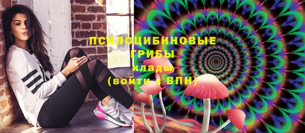 дмт Абаза