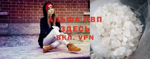 дмт Абаза