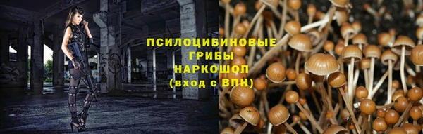 стафф Абдулино