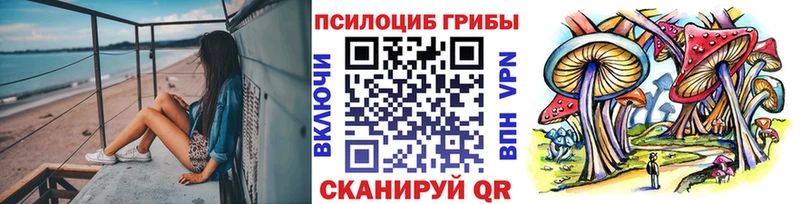 Псилоцибиновые грибы Psilocybine cubensis  Фокино 